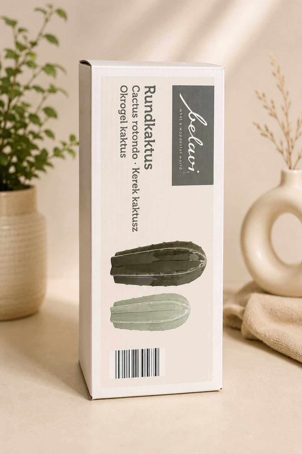 Ceramic Cactus Decoration Set – Modern Home Décor (2 Pieces)