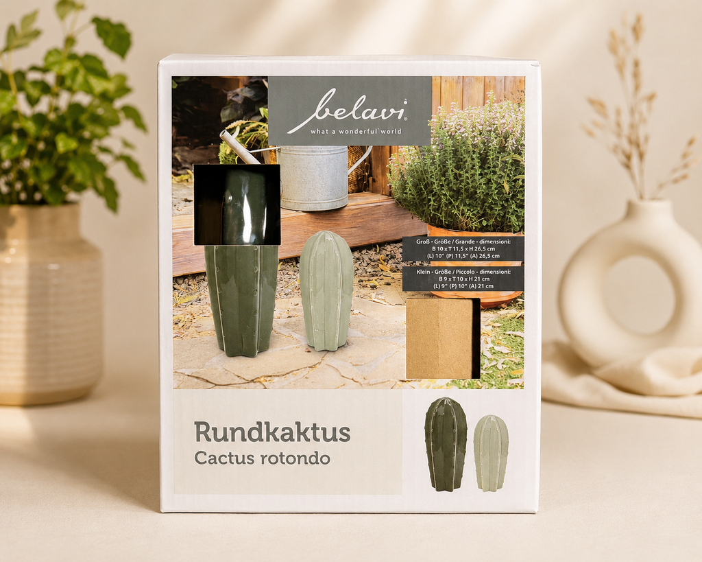 Ceramic Cactus Decoration Set – Modern Home Décor (2 Pieces)